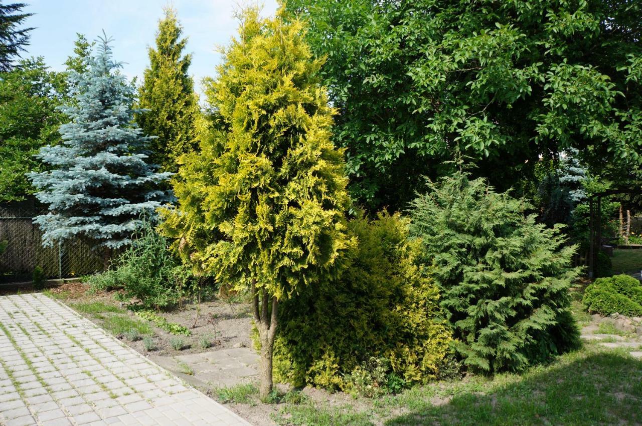 Apartamenty Z Klimatem Познан Екстериор снимка